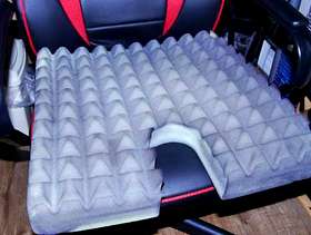 Freecycle Harley Proform Cushion