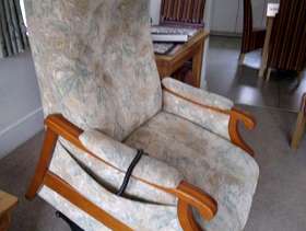 Freecycle Riser recliner chair