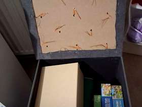 Freecycle 2 Storage Boxes/Stools