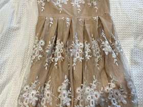 Freecycle Nude and white lace overlay dress