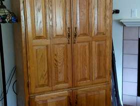 Freecycle Entertainment Center