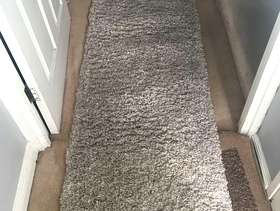 Freecycle Free Carpet