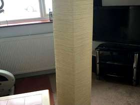 Freecycle Tall standing lamp