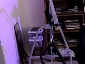 Freecycle Bed trapeze