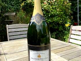 Freecycle Nebuchandnezzar bottle of Champagne