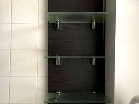 Freecycle 3 glass shelves wall display
