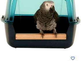Freecycle Bird Bath