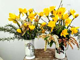 Freecycle Spring flowers in pretty vases