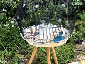 Freecycle Omlet geo bird cage