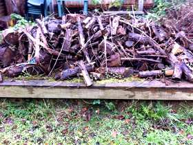 Freecycle Dried fire wood logs available to be collected at Abbey ...