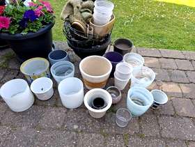 Freecycle Assorted indoor flower pot