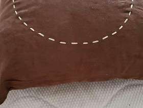 Freecycle Sofa cushions