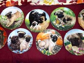 Freecycle Beautiful Pug plates