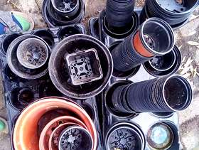 Freecycle Lots of plastic pots