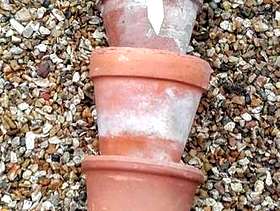 Freecycle 10 mixed terracotta plant pots