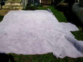 Freecycle Mouve carpet 7 by10