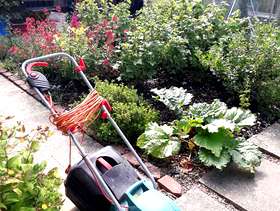Freecycle Electric lawn mower