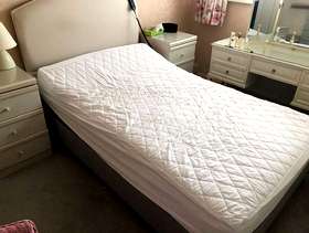 Freecycle 4 ft electric bed