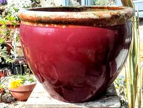 Freecycle Large glazed plant pot