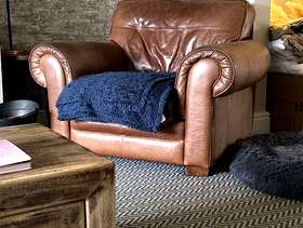 Freecycle Leather armchair