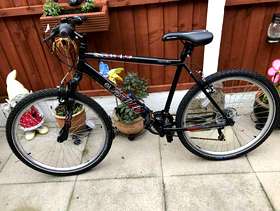 Freecycle Mans /teenagers bicycle