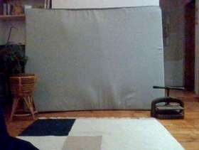 Freecycle King Size Mattress