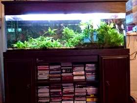 Freecycle Large fish tank unit and tropical fish