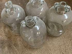 Freecycle Glass Demi-Johns
