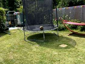 Freecycle Trampoline