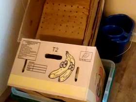 Freecycle Packing boxes