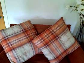 Freecycle Cushions