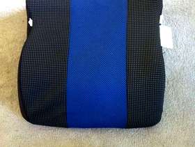 Freecycle Booster seat