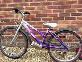 Freecycle Girls bike