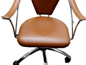 Freecycle Brown office chair