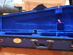Freecycle Violin case