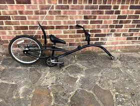 Freecycle Tag along bike