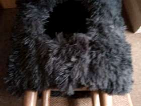 Freecycle Cat house/bed