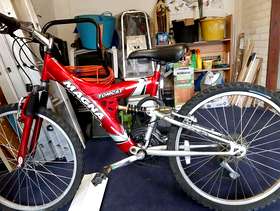 Freecycle BikeTeens magna full suspension mountain bike