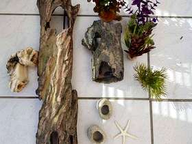 Freecycle Fishtank accessories