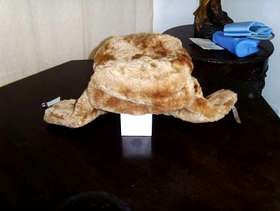 Freecycle Russian winter hat