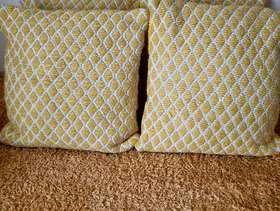 Freecycle Cushions