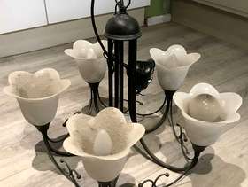 Freecycle Ceiling light