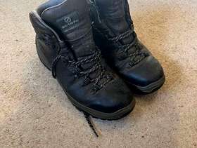 Freecycle Scarpa walking boots