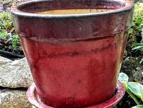 Freecycle Glazed plant pot and matching saucer