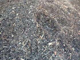 Freecycle Mulch from stumps ground down (can be good compost