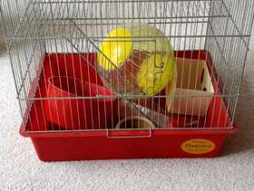 Freecycle Hamster Cage