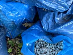 Freecycle White Garden stones/gravel