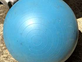 Freecycle Balancing ball.
