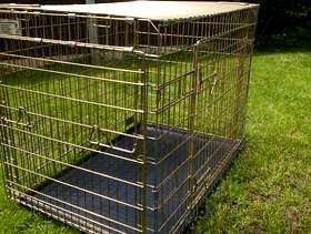 Freecycle Dog crate