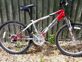 Freecycle Bike, child's